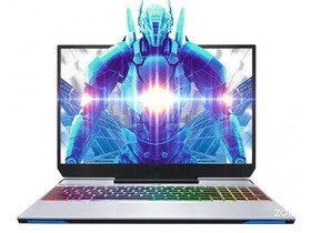 机械师F117-V(i7/8GB/256GB+1TB/GTX1660Ti)参数及笔记本电脑配置介绍插图