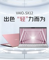 VAIO SX12(i7 1195G7/32GB/2TB/集显)参数及笔记本电脑配置介绍插图